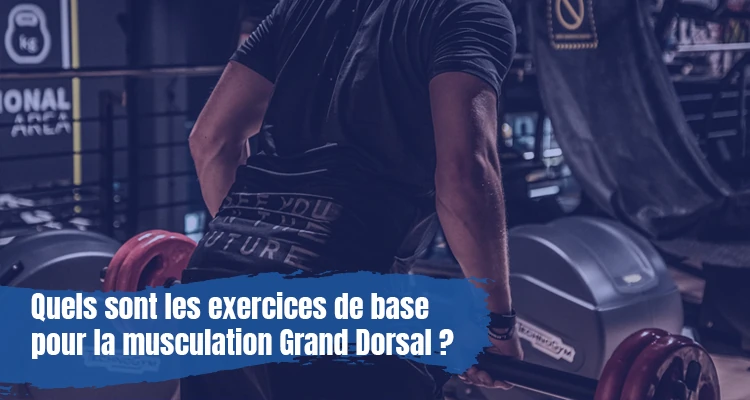 Quels sont les exercices de base pour la musculation Grand Dorsal