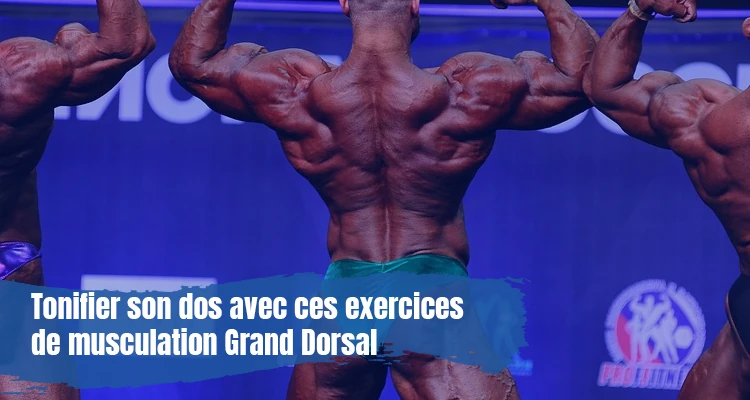 Musculation Grand Dorsal